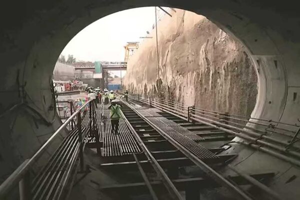 BMC Seeks Apex Court’s Permission To Fell 95 Trees For Coastal Road Tunnel