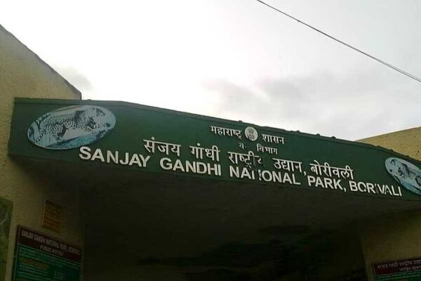 NGT Pulls Up MMRDA Over Alleged Diversion Of SGNP Forest Land