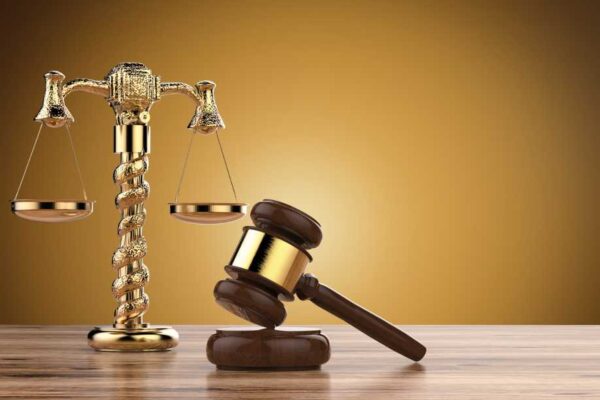 MMRDA To Cut 320 Trees, Transplant 386, And Plant 4,175 Saplings For Vikhroli-Ghatkopar Corridor Project