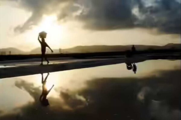 Government Appoints SRA, DRP As Planning Authority For Mulund Salt Pan And Kurla Dairy Land