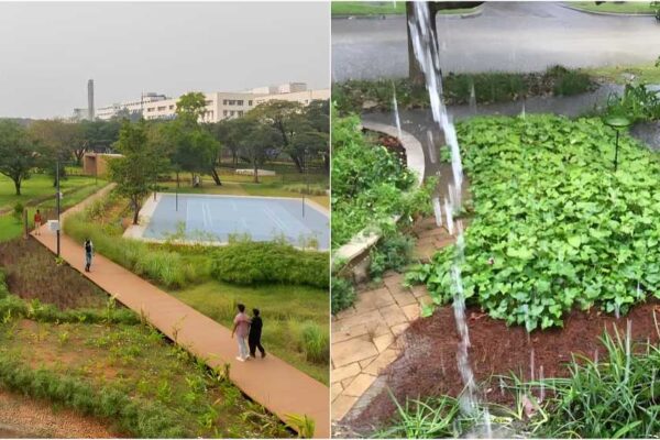 BMC To Develop 164 Sponge Parks Across Mumbai To Curb Flooding And Recharge Groundwater