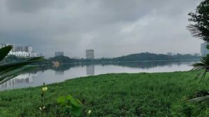 Mumbai’s Powai Lake To Become Sewage-Free By May 2026: BMC Commits To Cleanup