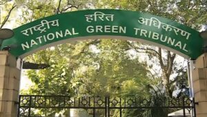 Infrastructure Projects In Mumbai Under Green Lens As NGT Seeks Tree Survival Data