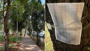 Sanpada Residents To Form Silent Human Chain Against NMMC Plan To Remove 440 Trees For Tunnel Project