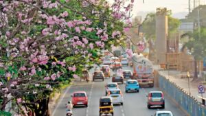 Nearly 2,000 Construction Sites Install Air Pollution Monitoring Systems In Mumbai, State Govt Informs Assembly