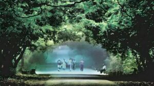 City’s Green Belt Gets Protection Boost As SGNP Eco-Sensitive Plan Approved