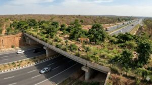 Mumbai-Delhi Expressway’s Wildlife Corridor: Inside India’s Largest Animal Overpass