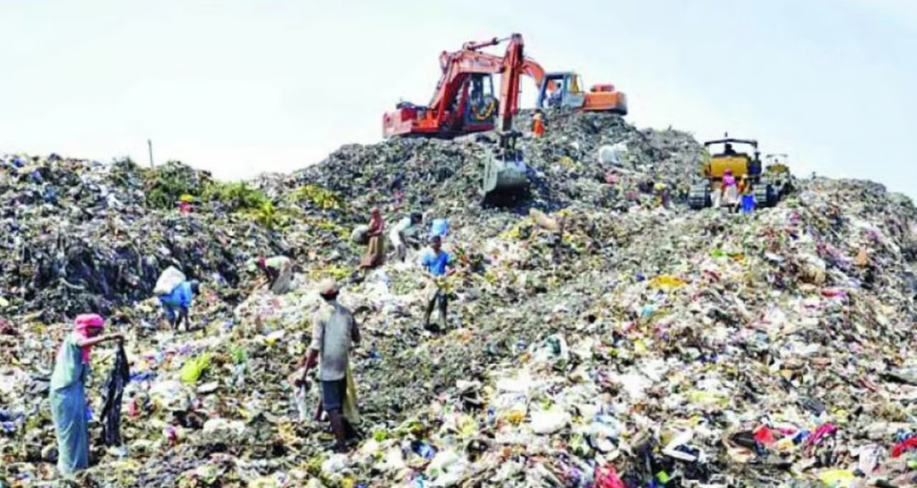 Navi Mumbai Sees Renewed Push to Scrap Turbhe Landfill, Build Nature Park