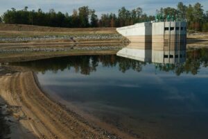 Revised Malabar Hill Reservoir Plan Cuts Tree Loss By Nearly 80%