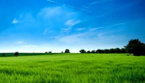 Karjat Land Deals Highlight Shift In Mumbai’s Expansion Beyond Core City