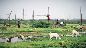 ‘Third Mumbai’ Project Moves Ahead As MMRDA Begins Land Acquisition, Seeks Villagers’ Consent