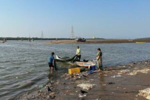 Mumbai Fishers Sound Alarm As Coastal Road Threatens 45,000+ Mangroves & Livelihoods