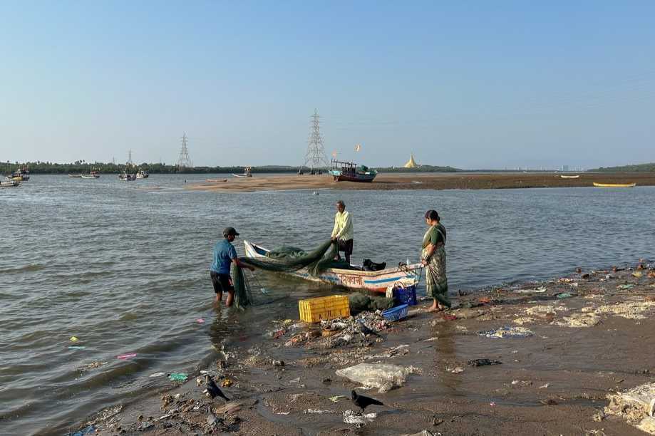 Mumbai Fishers Sound Alarm As Coastal Road Threatens 45,000+ Mangroves & Livelihoods