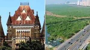 Bombay High Court Greenlights Mangrove Removal, Paving Way For Faster Progress On Vadhvan Port