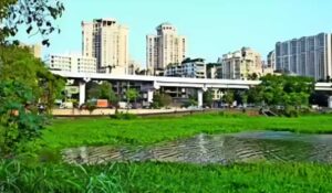 BMC Proposes Rs 1.85 Crore Consultancy Contract For Powai Lake Redevelopment Plan