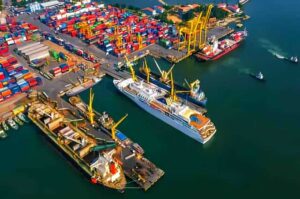 Bombay High Court Approves Mangrove Clearance For Vadhavan Port Highway Link To NH-48