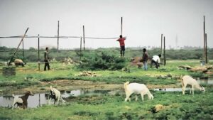 Third Mumbai Project Gains Initial Farmer Support, But Resistance Continues In Raigad Villages