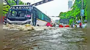 Palghar Estimates Rs 170 Crore Loss After Heavy July Rains, Relief Distribution Underway