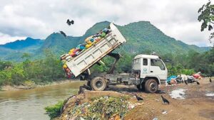 NGT Impleads BMC In Mangrove Dumping Case In Diva