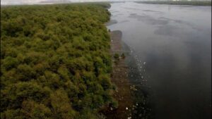 GMLR Junction Plan Raises Concern Over 8.2 Acres Of Bhandup Mangroves
