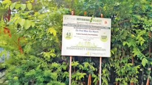 BMC To Expand Miyawaki Urban Forest Network Across 238 Mumbai Plots