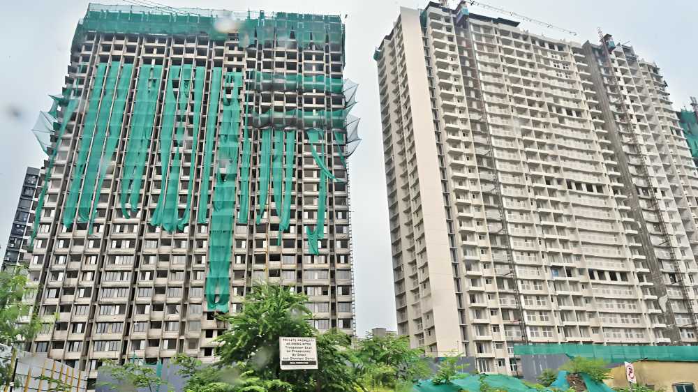 Mumbai Developers Forfeit Rs 4.25 Crore In Tree Deposits As Tree Replacement Raises Concerns