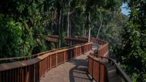 BMC Plans Rs 41.83-Crore Slope Stabilisation Work At Malabar Hill
