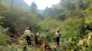 Karjat Project Puts 32,490 Trees At Risk, Triggers Environmental Concerns