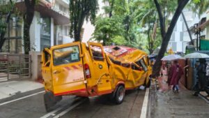 Chembur Tree Collapse: New Policy Framework Proposed After Vihaan Srivastava’s Death