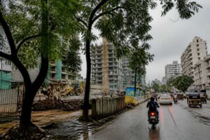 BMC Panel To Review Proposals For Felling Over 200 Trees In Mumbai