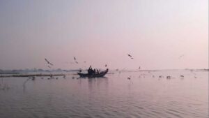 Thane Creek Bridge III: HC Forms Task Force To Decide Fishermen’s Compensation