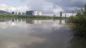 MMRDA Asked To Review Fisherfolk Concerns Over Kopri-Patni Bridge